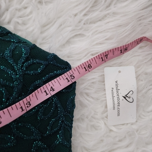 Windsor Marylou Lace Mesh Plunge Neck Formal Dress. Color: HUNTER. Size … - Picture 6 of 8